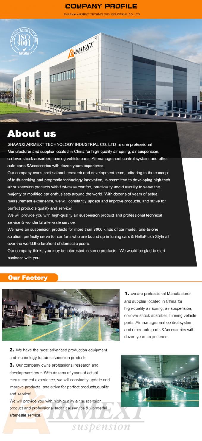 For TOYOTA ALPHARD AH20 (2007-2015)Air STRUT Suspension Kit /air Spring Assembly /Auto Parts/pneumatic 11